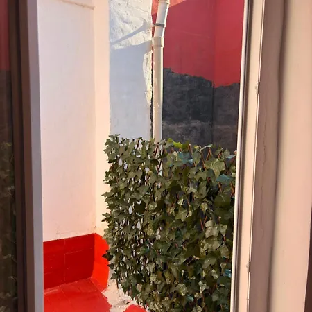 Hotel Cami Real